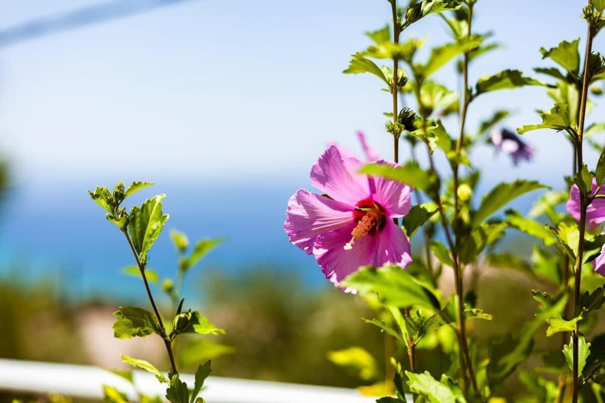 Aigli Fully Equipped Getaway - Seaview Lux Retreat Villa Kalamata Exterior photo